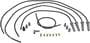 FAST Spark Plug Wire Set