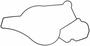 Fel-Pro Water Pump Gasket