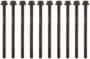 Fel-Pro M10-1.25 Thread Star Head Bolt Set