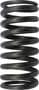 FP Diesel Valve Spring