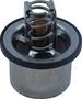FP Diesel Thermostat