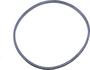 FP Diesel Oil Seal