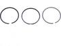 FP Diesel Single Piston Ring Set