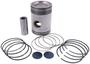 FP Diesel Piston Kit