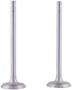 FP Diesel Intake Valve