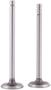 FP Diesel Intake Valve