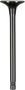FP Diesel Intake Valve