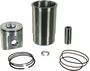 FP Diesel Piston Liner Kit