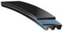 Gates Serpentine Belt