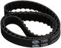 Gates PowerGrip Timing Belt