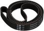 Gates PowerGrip Timing Belt