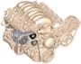 Holley Accessory Drive Kit
