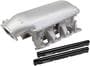 Holley Intake Manifold