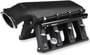 Holley EFI Intake Manifold