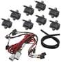 Holley EFI Ignition Coil