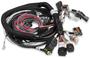 Holley EFI Fuel Injector Harness