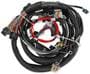 Holley EFI Engine Main Harness