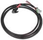 Holley EFI Ignition Harness