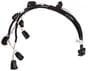 Holley EFI Ignition Harness