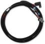 Holley EFI Control Module Harness