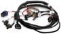 Holley Terminator EFI Control Module Harness