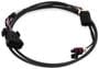 Holley EFI Ignition Harness