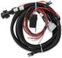 Holley EFI Transmission Harness