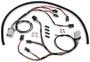 Holley EFI Ignition Harness