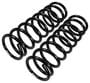 Import Direct Coil Spring Set