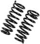 Import Direct Coil Spring Set