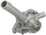 Import Direct Water Pump - New