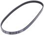 INA Serpentine Belt