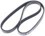 INA Serpentine Belt