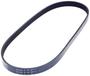 INA Serpentine Belt