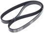 INA Serpentine Belt