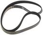 INA Serpentine Belt