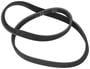 INA Serpentine Belt