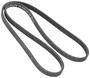 INA Serpentine Belt