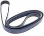 INA Serpentine Belt