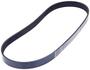 INA Serpentine Belt