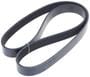 INA Serpentine Belt