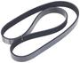 INA Serpentine Belt