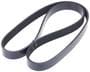INA Serpentine Belt