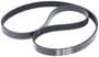 INA Serpentine Belt