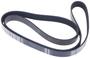 INA Serpentine Belt