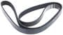 INA Serpentine Belt