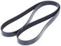 INA Serpentine Belt