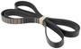 INA Serpentine Belt
