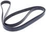 INA Serpentine Belt