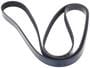 INA Serpentine Belt